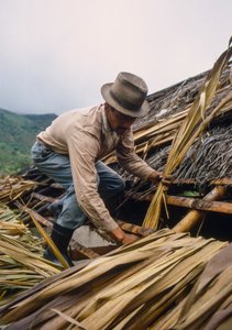 Een Colombiaanse boer dekt zijn dak met suikerrietbladeren - nabij Pamira, Colombia
