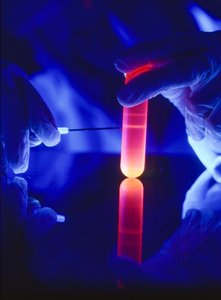 Nucleotiden van RNA extraheren uit een plastic centrifugebuis