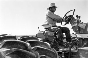 Familieboer Ed Ker op A.M. Ker Ranch is een landbouwkolonist die alfalfa verbouwt