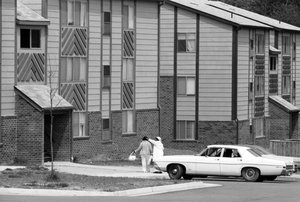 Nieuwe sociale woningbouw in landelijk Virginia door Ted Spiegel
