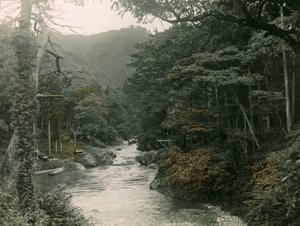 Herfstbos in de Yamanaka regio, circa 1900 - 1915 (foto) door Teijiro Takagi