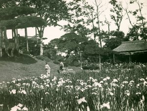 De iristuin van Horikiri Shobuen in Tokio, circa 1900 - 1915 (foto) door Teijiro Takagi