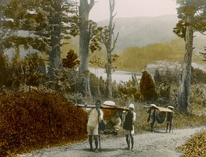 Japans meisje in een Kago, regio Hakone, circa 1900 - 1915 (foto) door Teijiro Takagi