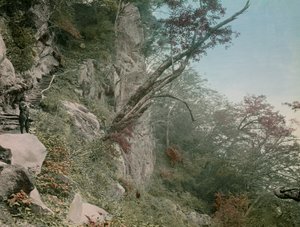 op weg naar de Kegon watervallen in Nikko, circa 1900 - 1915 (foto) door Teijiro Takagi