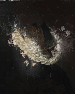 CollarFloral, 2017