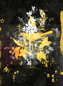 Sta Op!, 2015