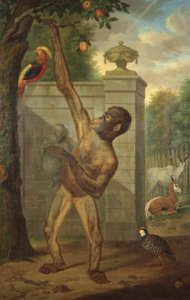 Orang-oetan uit de dierentuin van Stadhouder Willem V, plukt een appel door Tethart Philipp Christian Haag