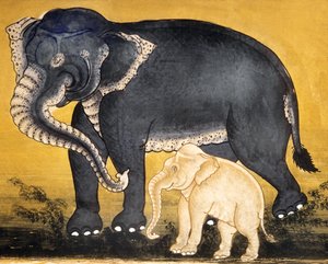 Olifant en kalf, pagina uit een manuscript over olifantentraining (wc op papier)