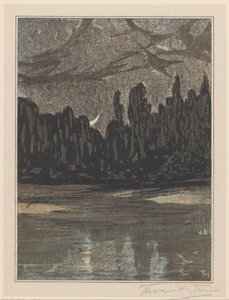 Nachtelijk landschap met trekvogels door Theo van Hoytema (signed by artist)
