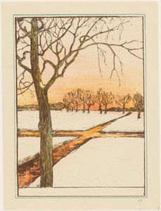 Sneeuwlandschap