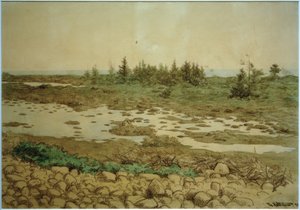 Rollende Stenen, Water en Struiken