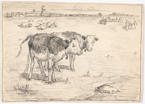 Een paar kalveren op "Fladen", Saltholm