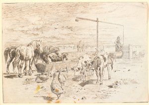Paarden, kalveren en ganzen bij de Hollanderbron op Saltholm