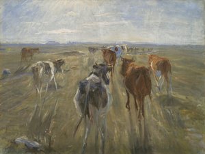 Lange schaduwen. Vee op het eiland Saltholm