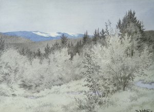 Ver weg in het bos door Theodor Kittelsen
