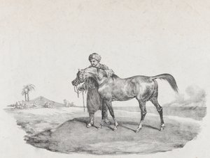 Een Arabisch Paard, 1821 door Theodore Gericault