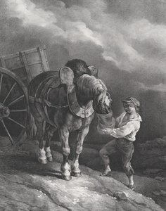 Jongen die een Paard met een Neuszak Voert