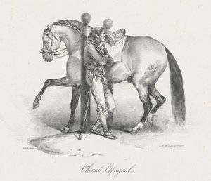 Spaans paard (A Spanish Horse) door Theodore Gericault