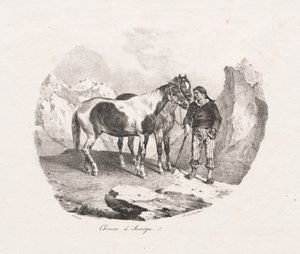 Paarden van Auvergne door Theodore Gericault