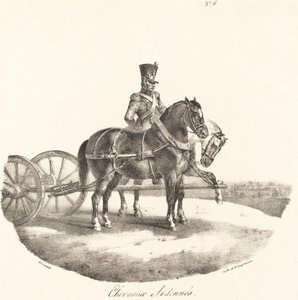 Paarden van de Ardennen