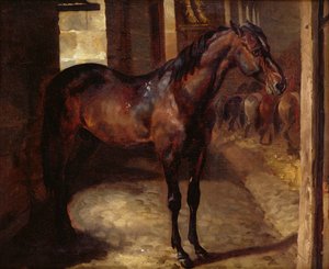 Donkerbruine paard in de stal
