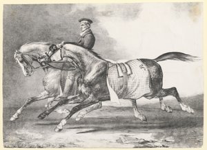 Twee dapple-grijze paarden die worden uitgelaten (Two Dapple-Grays Being Exercised)