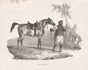 Egyptische Merrie door Theodore Gericault
