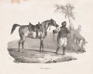 Egyptische Merrie door Theodore Gericault
