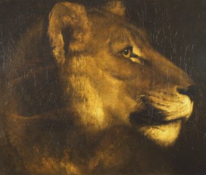 Hoofd van een leeuwin