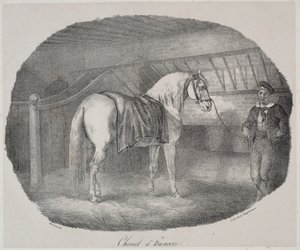 Paard uit Hannover door Theodore Gericault