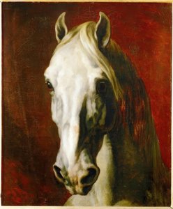 Hoofd van een schimmel door Theodore Gericault