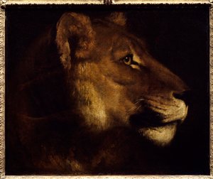 Kop van leeuwin door Theodore Gericault