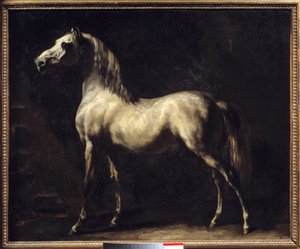 Studie van een paard door Theodore Gericault