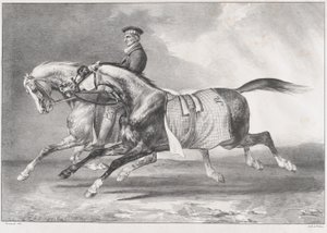 Twee grijsgevlekte paarden die worden getraind door Theodore Gericault