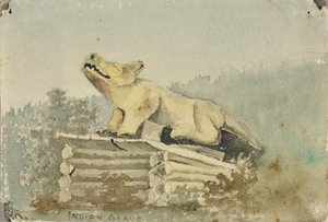 Indiaans graf. Wolf Totem boven Medicijnman Graf, Wrangell door Theodore J. Richardson