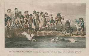 De hondenliefhebbers testen de kwaliteiten van hun honden tijdens een eendenjacht (ingekleurde gravure)