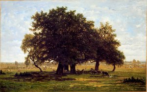 Een groep eikenbomen, Apremont