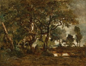 Bos van Fontainebleau, groep hoge bomen met uitzicht op de Clair-Bois vlakte aan de rand van Bas-Bréau