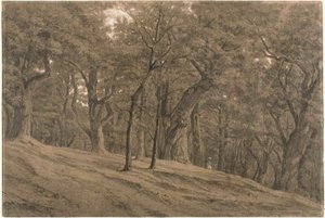 In het bos van Fontainbleau door Theodore Rousseau