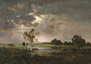Landschap