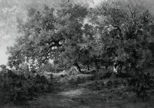 Landschap