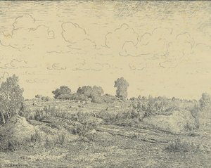 De vlakte van La Plante in Biau door Theodore Rousseau