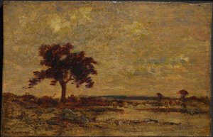 Moeraslanden door Theodore Rousseau