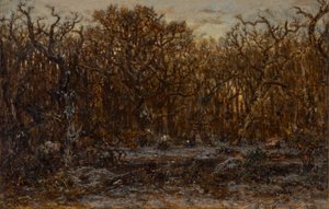 Bos bij zonsondergang in de winter