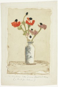 Anemonen