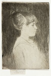 Jeanette, Juni 1887