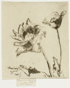 Twee bloemen door Theodore Roussel