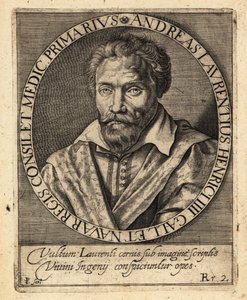 Andre du Laurens, Franse arts door Theodore de Bry