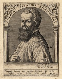 Andreas Vesalius, Vlaamse arts, anatoom door Theodore de Bry