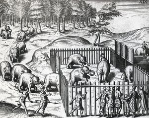 Olifantenjacht in koninkrijk Pegu, nu Myanmar, gravure door Theodore de Bry
